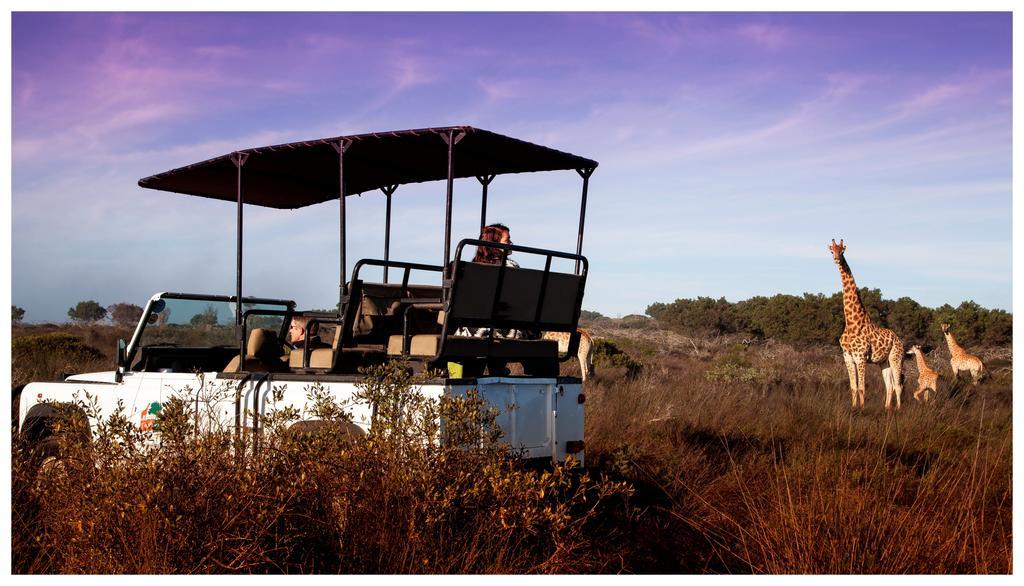 Thali Thali Game Lodge Langebaan Exterior photo