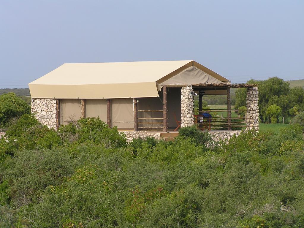 Thali Thali Game Lodge Langebaan Room photo